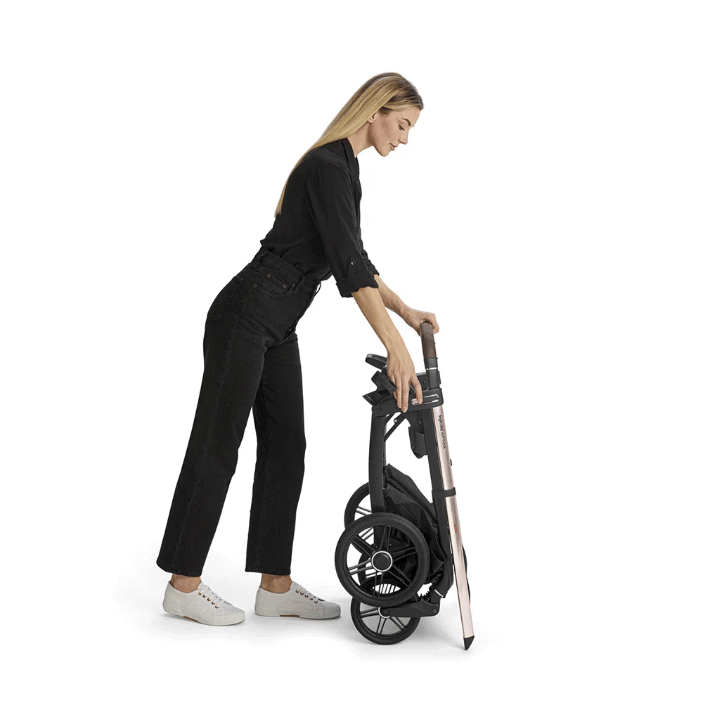 Inglesina Aptica System DUO 2025 - Expo