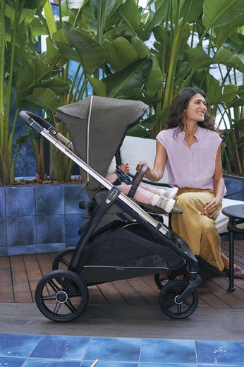 PROMO Inglesina Aptica System DUO 2024