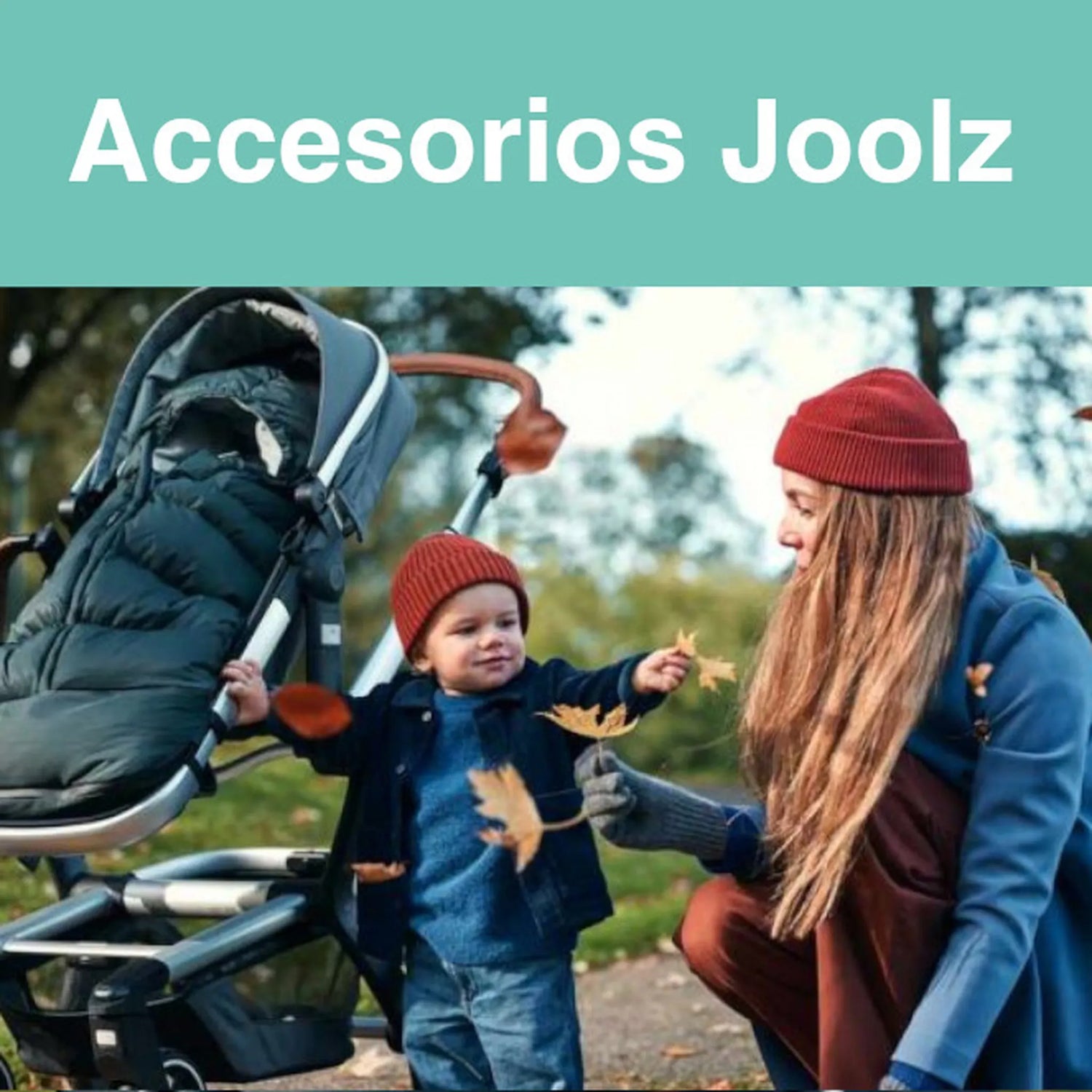 Accesorios paseo Joolz