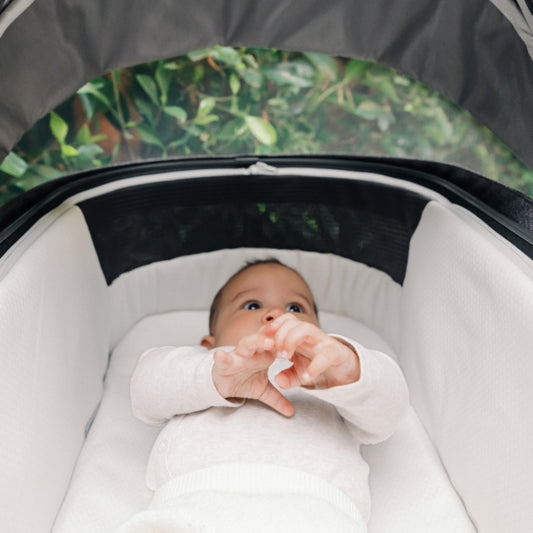 Capazo UPPAbaby para CRUZ/VISTA/MINU V3 y RIDGE