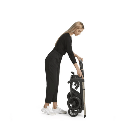 Inglesina Electa DUO 2025